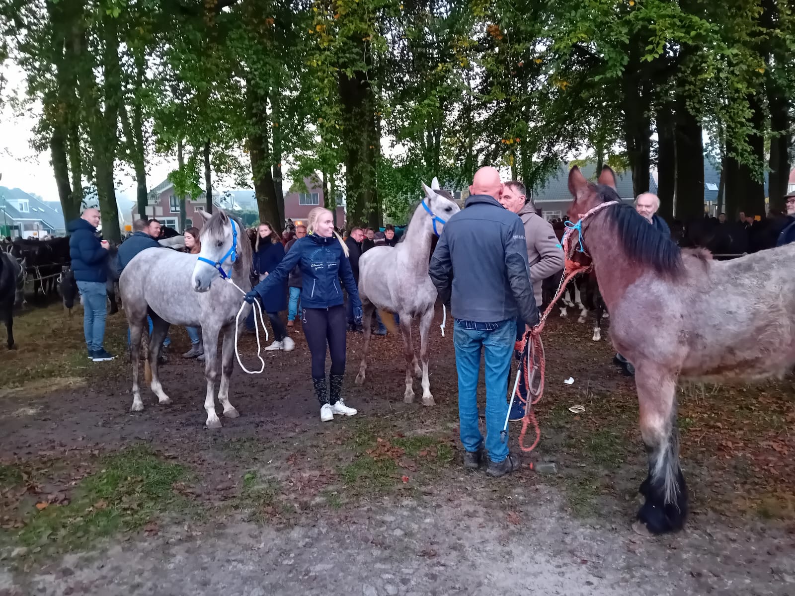 Zuidlaarderpaardenmarkt