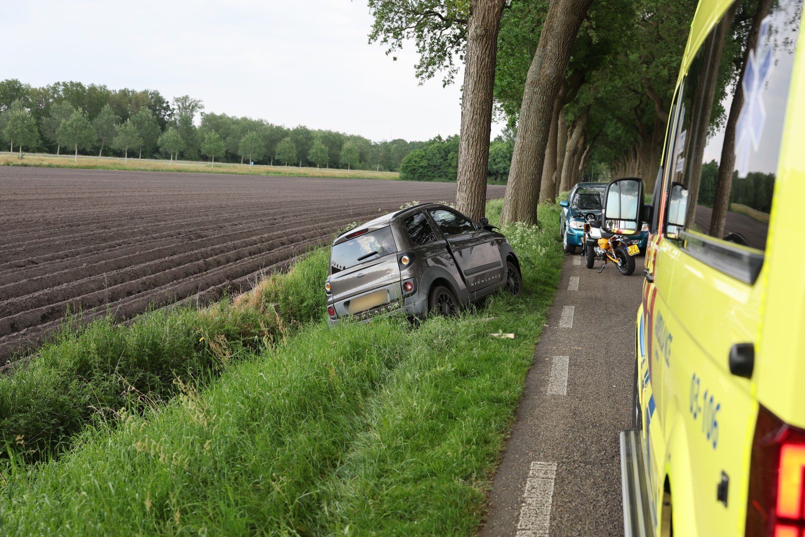 Voertuig tegen boom