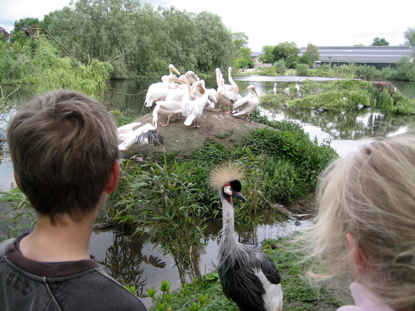 Vogelpark Avifauna in Alphen aan den Rijn is toch weer open. 