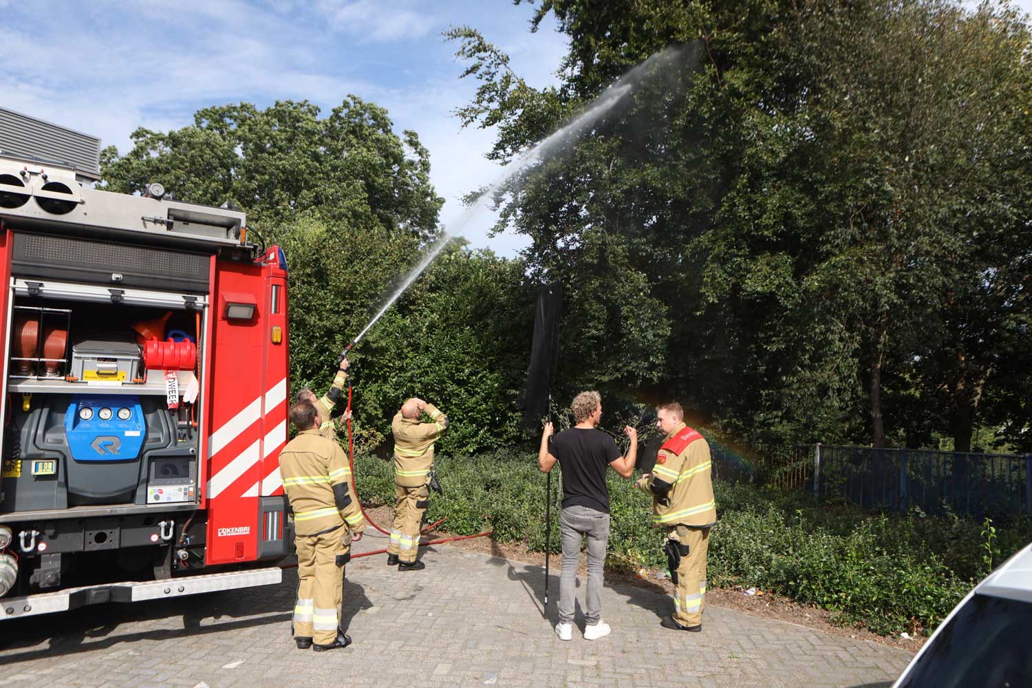 brandweer-papagaai