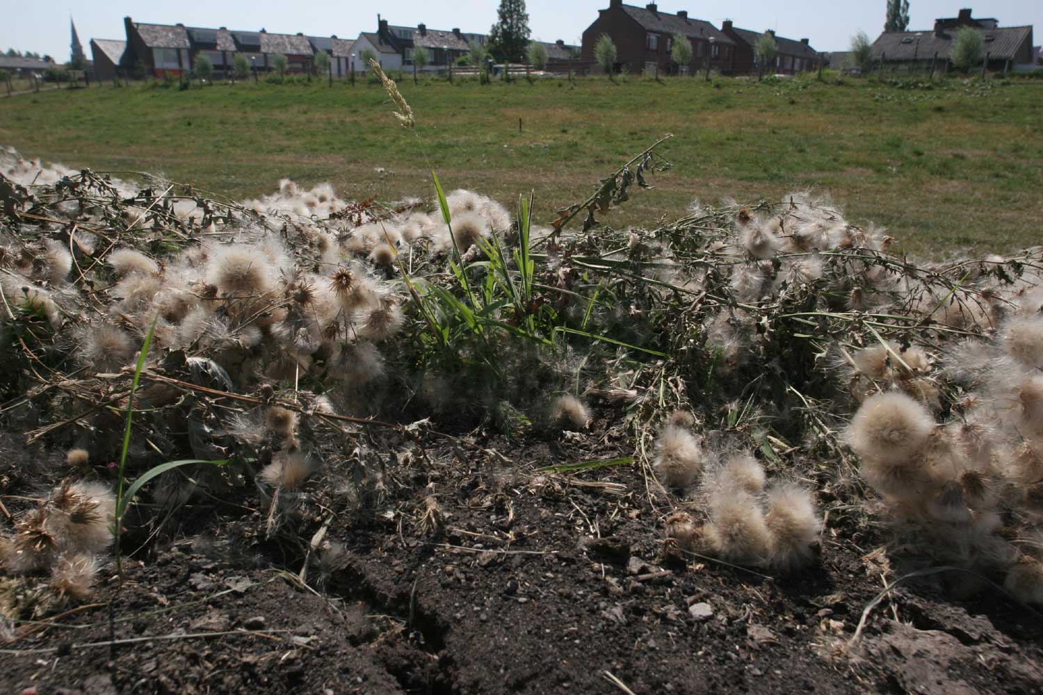 Waterschappen en provincie nemen maatregelen tegen gevolgen droogte