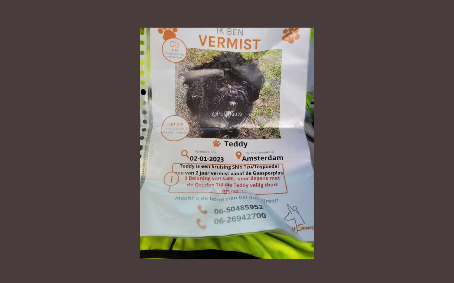 hondje-Teddy-vermist