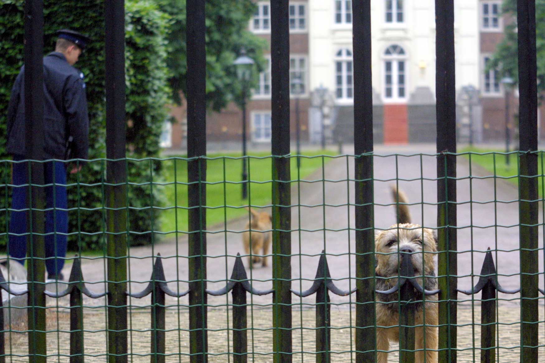 huis-ten-bosch-hond-hek-KMar