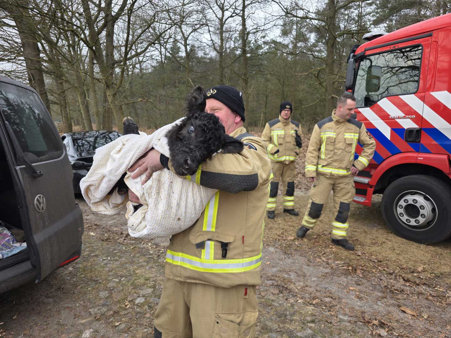 kalf-wildrooster-brandweer