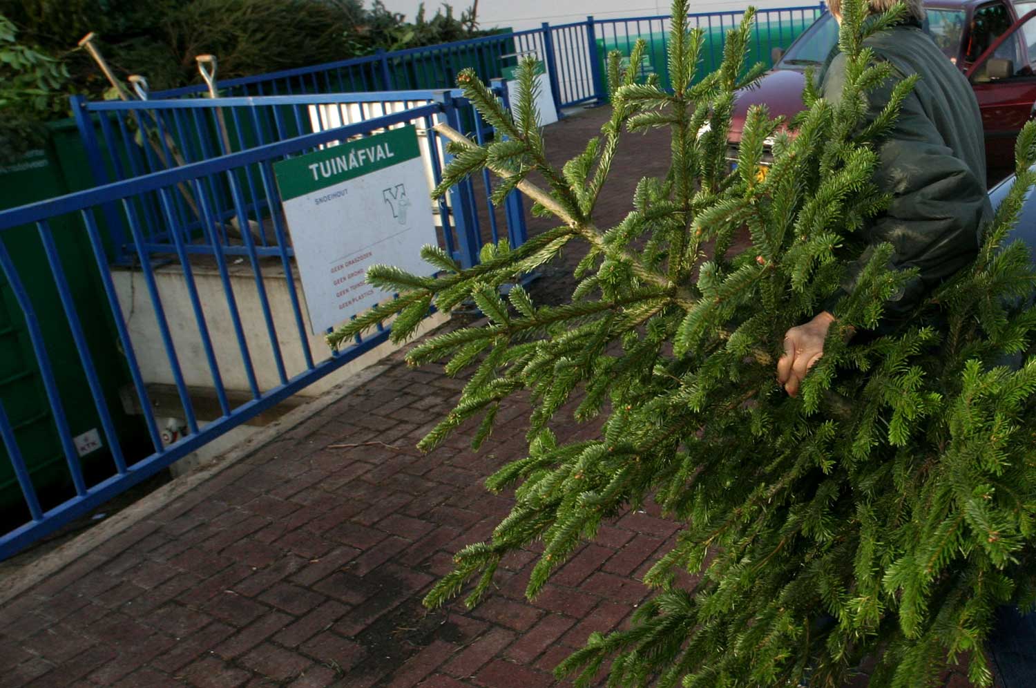 kerstboom-tuinafval