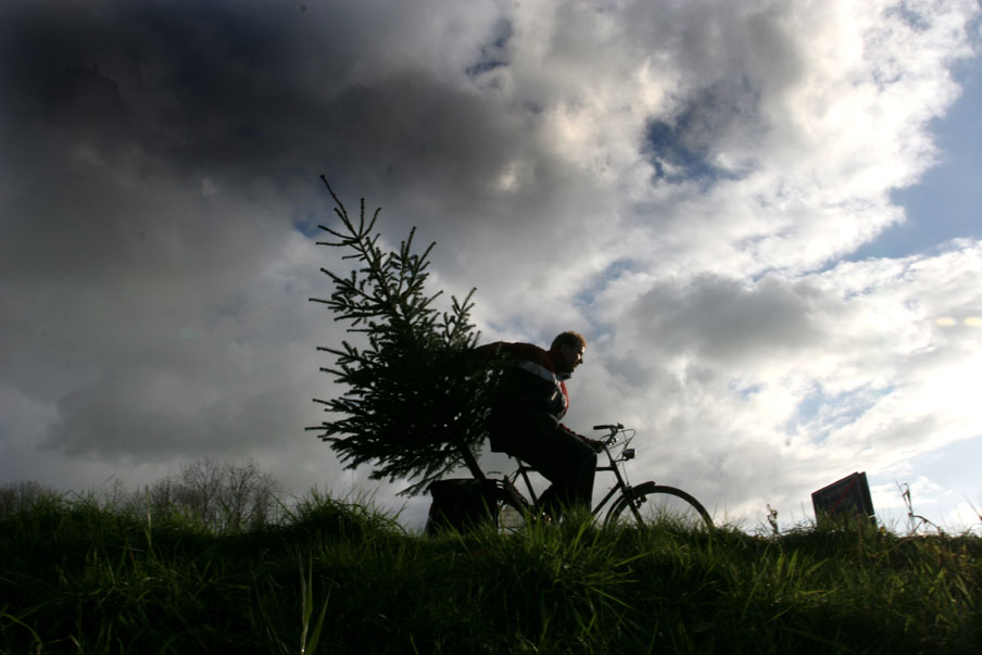 foto van kerstboom | fbf