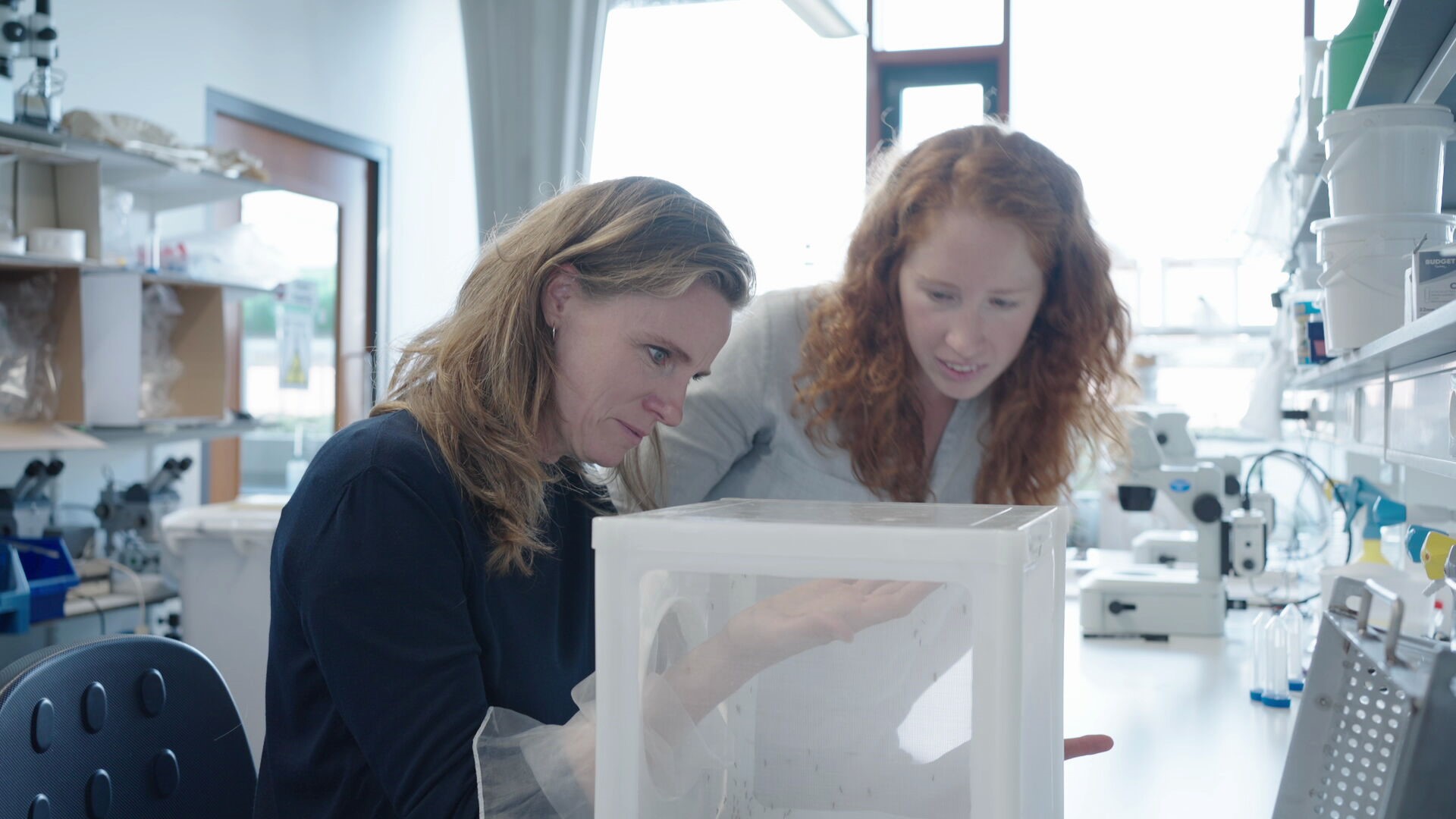 Focus-presentator Petra Grijzen laat zich in bijzijn van entomoloog Charlotte Linthout bijten door een mug 