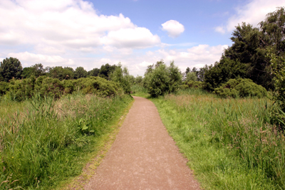 Foto van natuur bos heide | Archief EHF