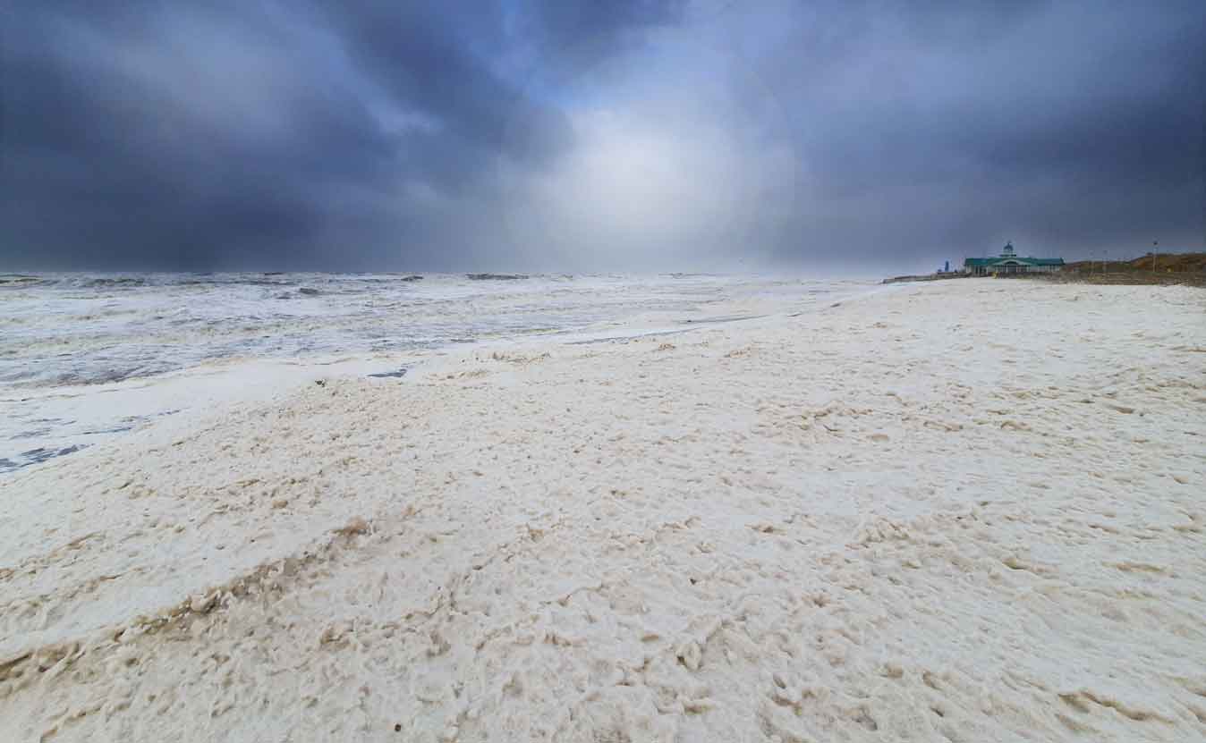 Storm en slijmalg zorgen voor hagelwitte stranden 