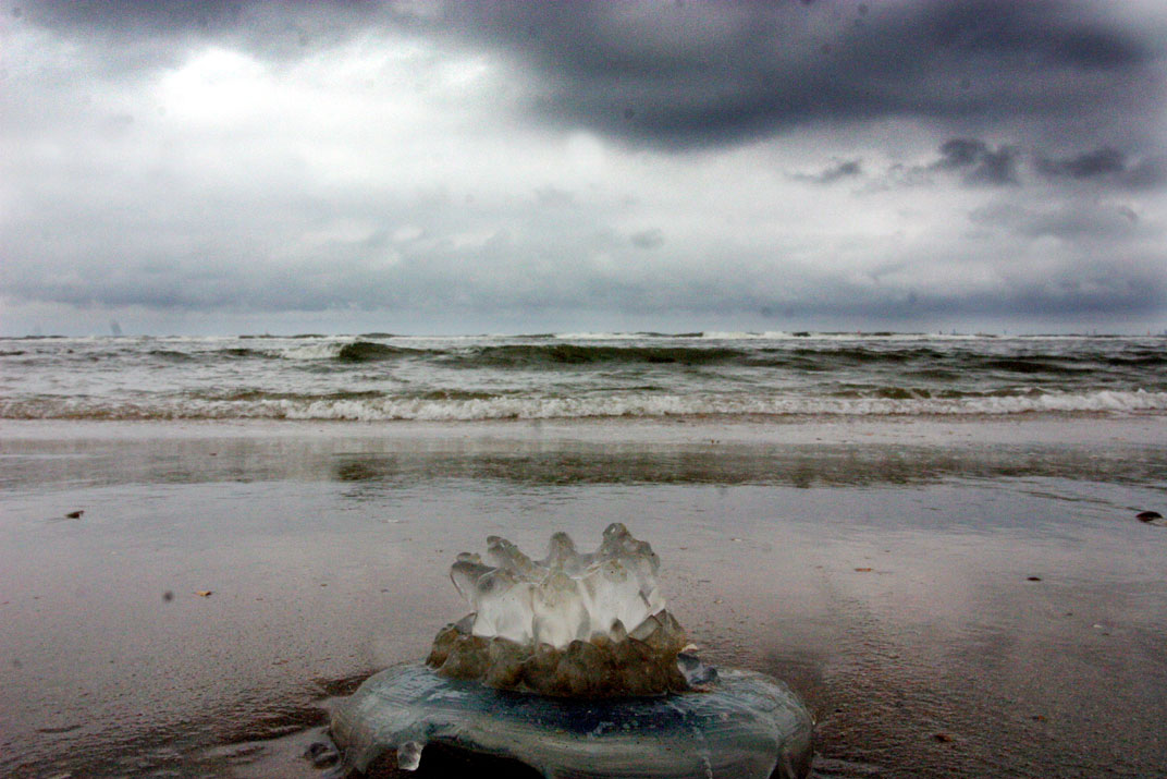 Noordzee