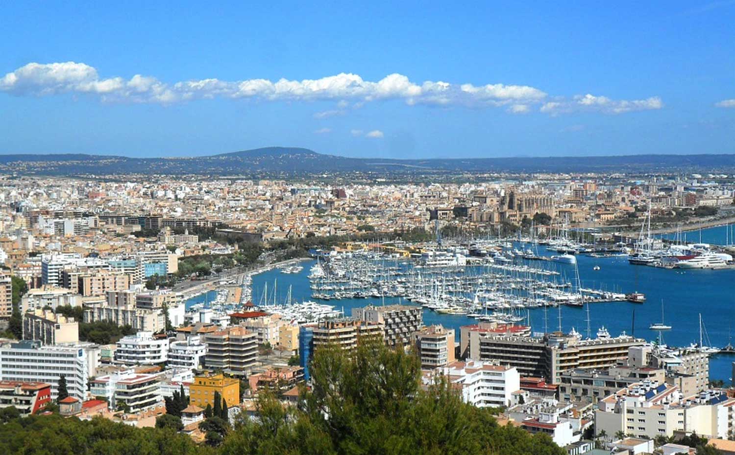 palma-de-mallorca