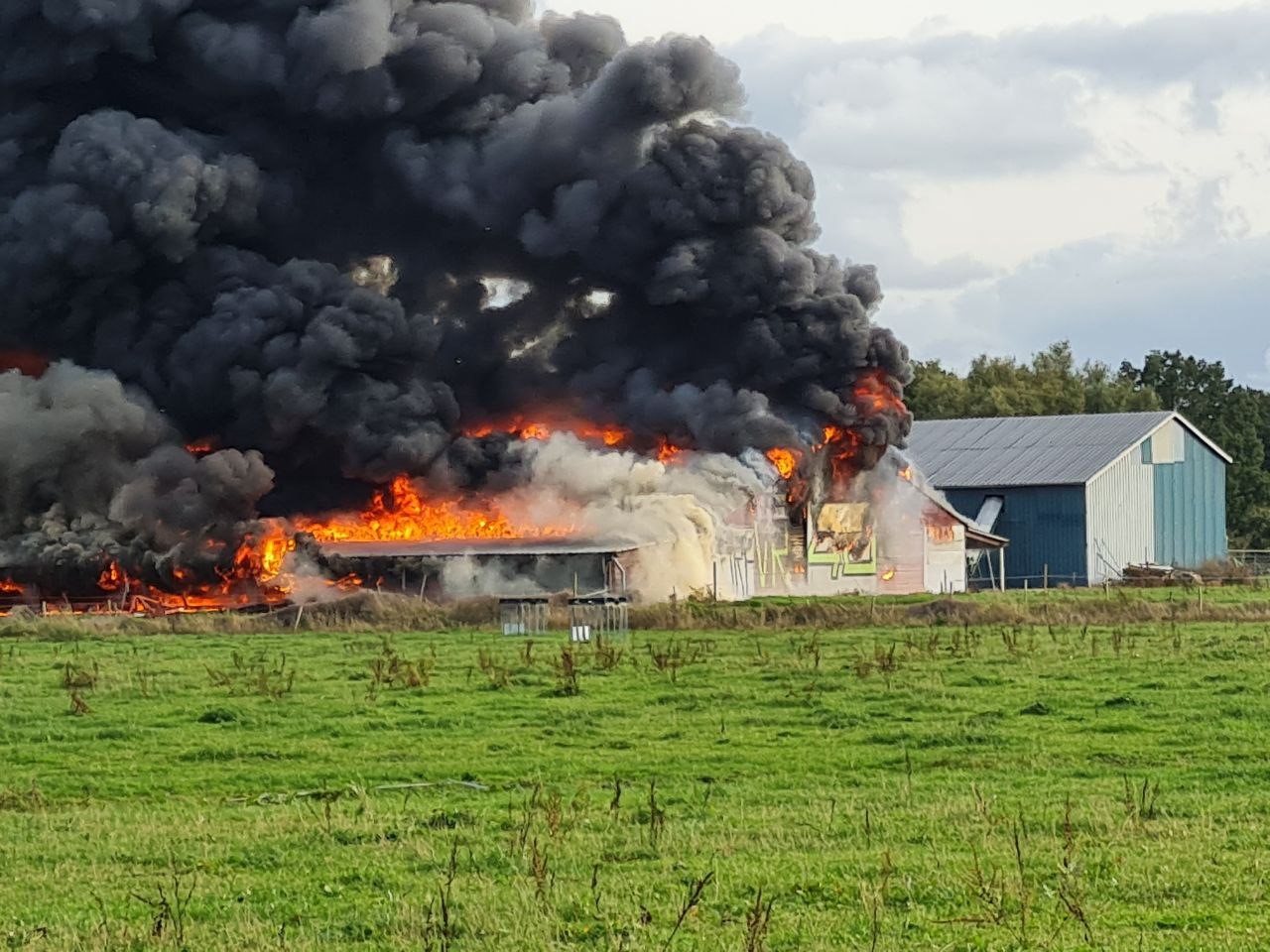 Kippenschuur volledig in brand