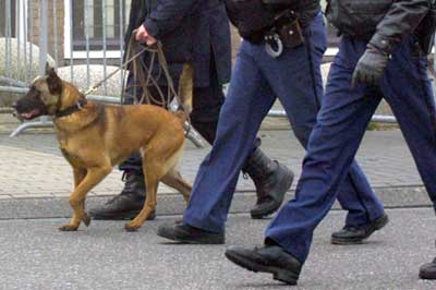 Foto van politie en hond | Archief EHF