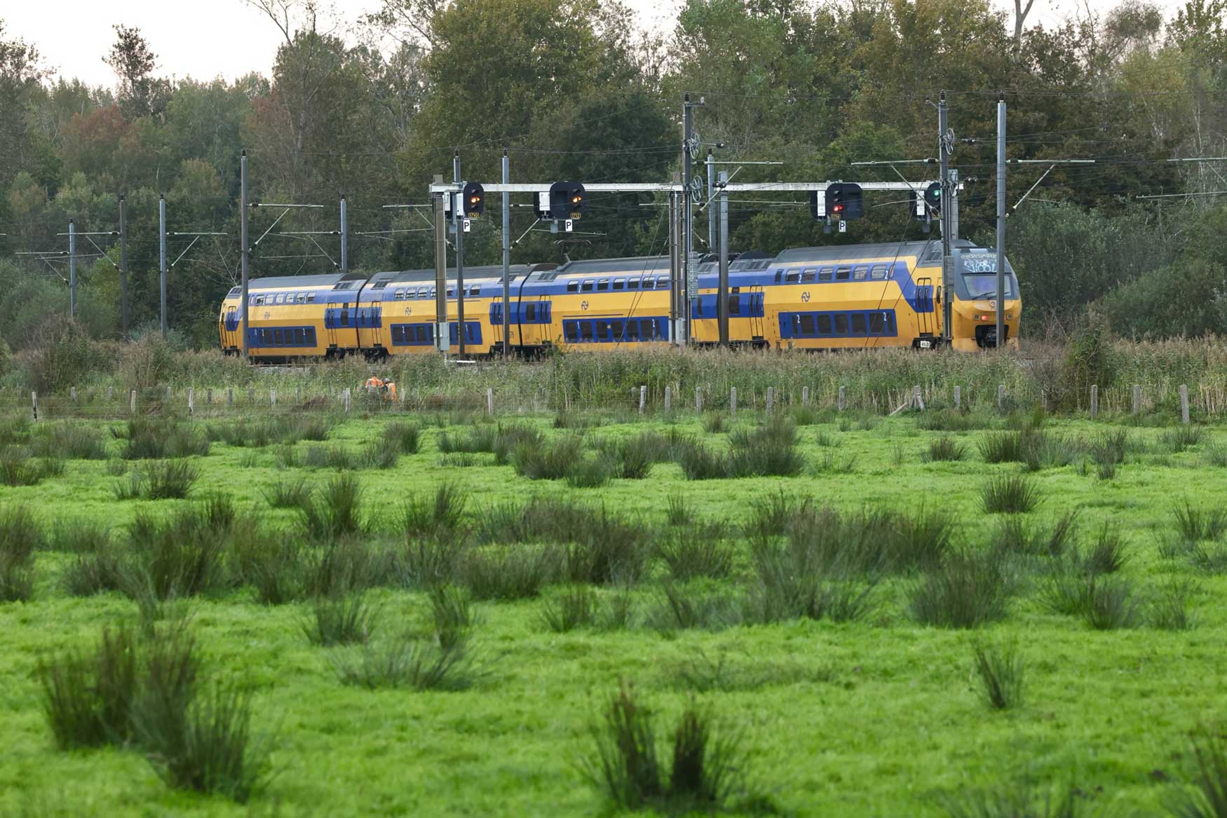 spoor-trein