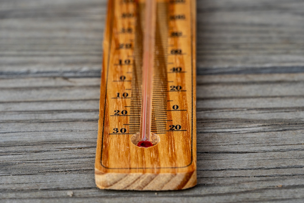 Thermometer