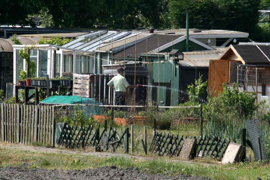 RIVM: matig uw consumptie uit moestuin rond chemische fabriek Chemours