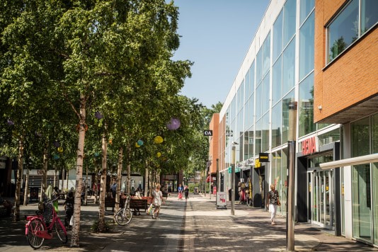 Winkelstraat Rijswijk