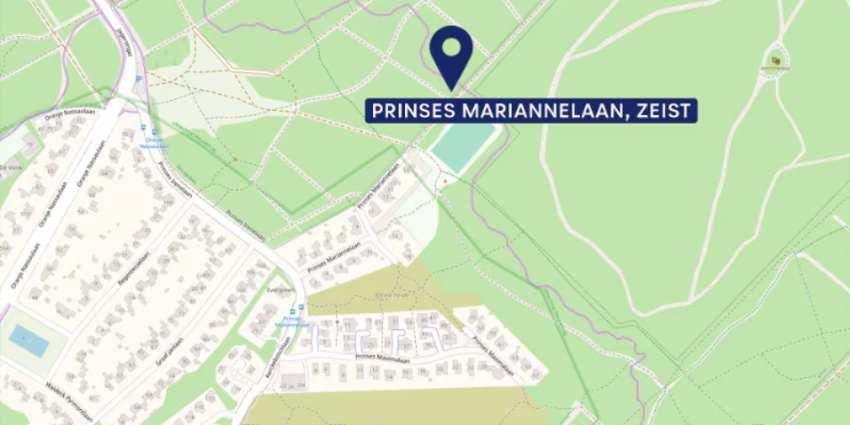Zedenmisdrijf in Zeist