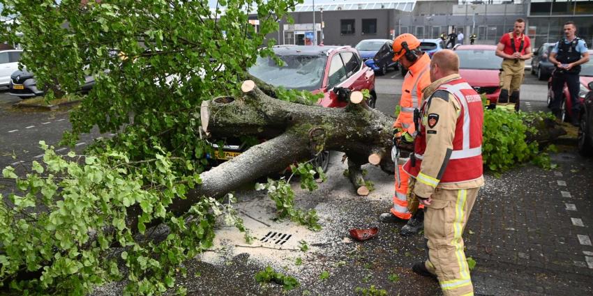 boom-storm-auto-vliegveld- Eelde