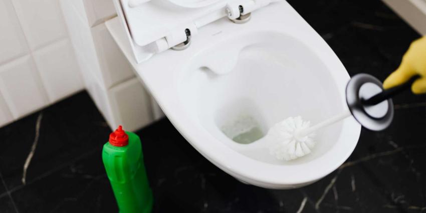 toilet-borstel-reinigen