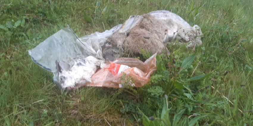 Foto van dode dieren in plastic