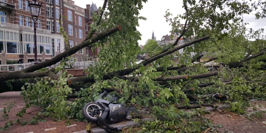 Foto van stormschade