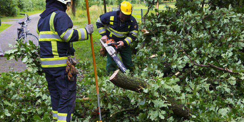 Brandweer boom