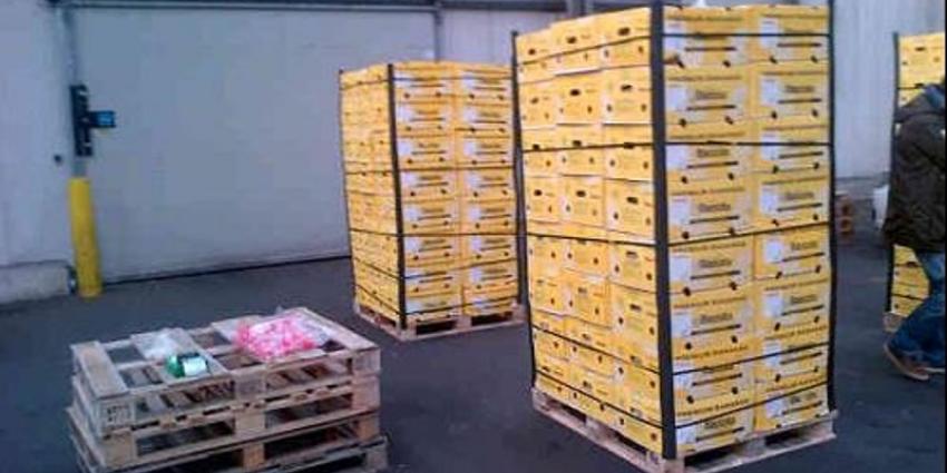 Acht aanhoudingen na vondst 1800 kg cocaïne