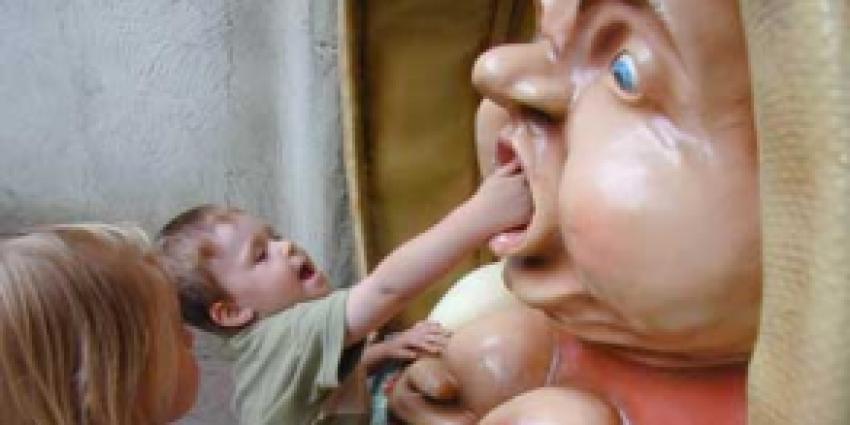 ANWB selecteert leukste gezinsuitjes