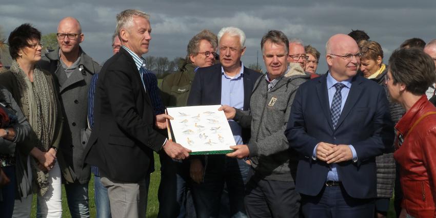 Natuur- en landbouworganisaties slaan handen ineen voor weidevogels in Groningen