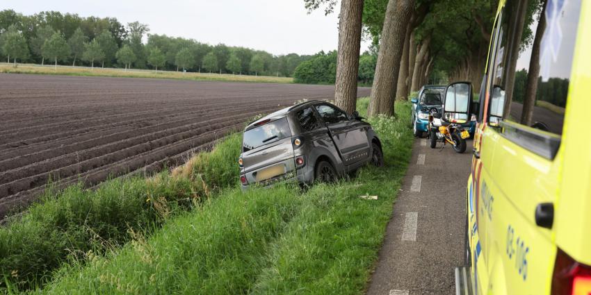 Voertuig tegen boom