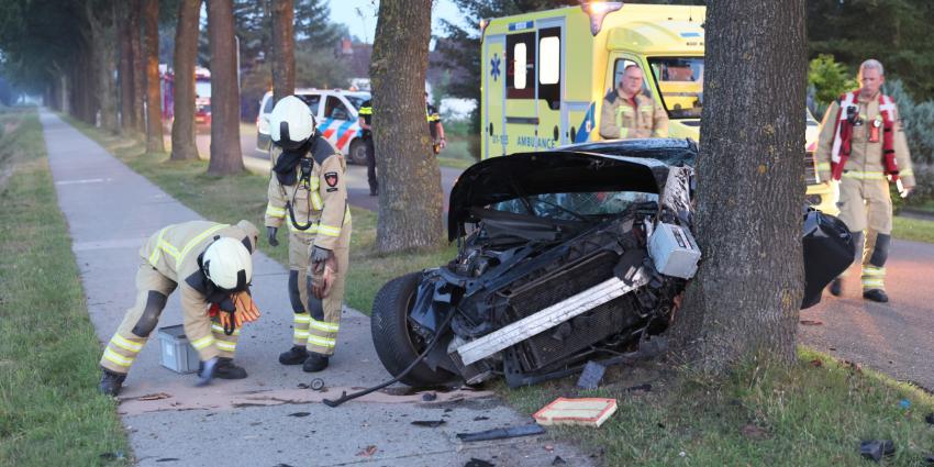 Auto frontaal tegen boom