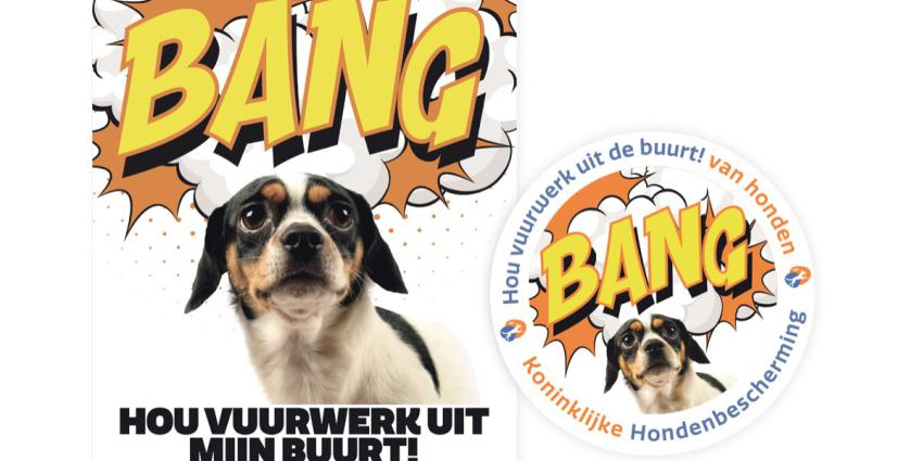 Raamposter en sticker