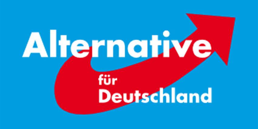 Voorzitter AfD stapt dag na de verkiezingen al op 