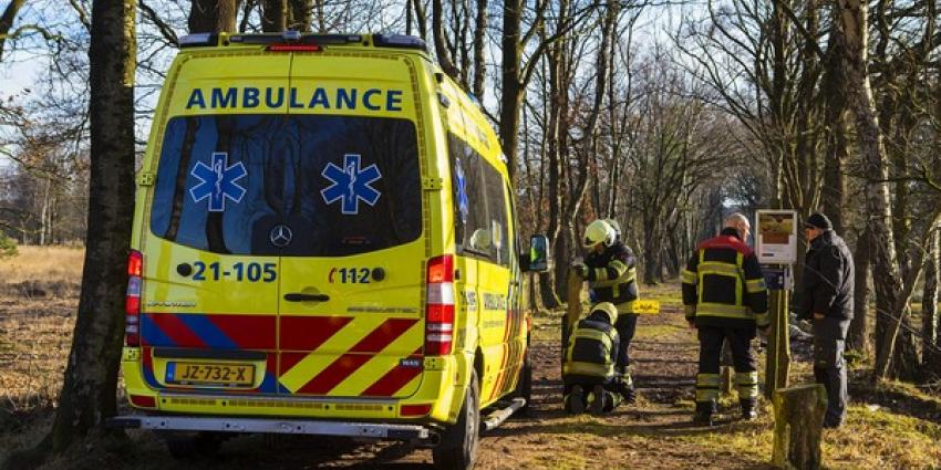 Amazone van paard gevallen in natuurgebied bij Boxtel, ambulance kan niet door toegangspoort