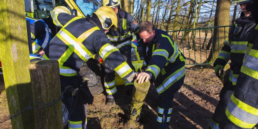 Amazone van paard gevallen in natuurgebied bij Boxtel, ambulance kan niet door toegangspoort