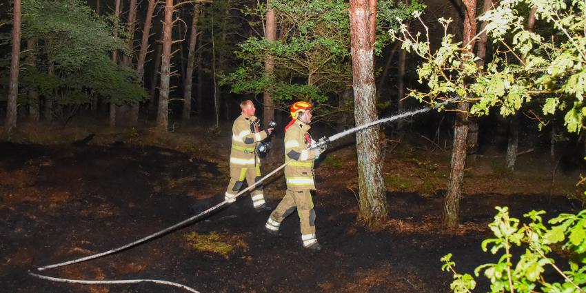 Brandweer blust natuurbrand
