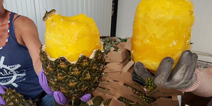 Politie vindt 68,5 kilo cocaïne in ananassen