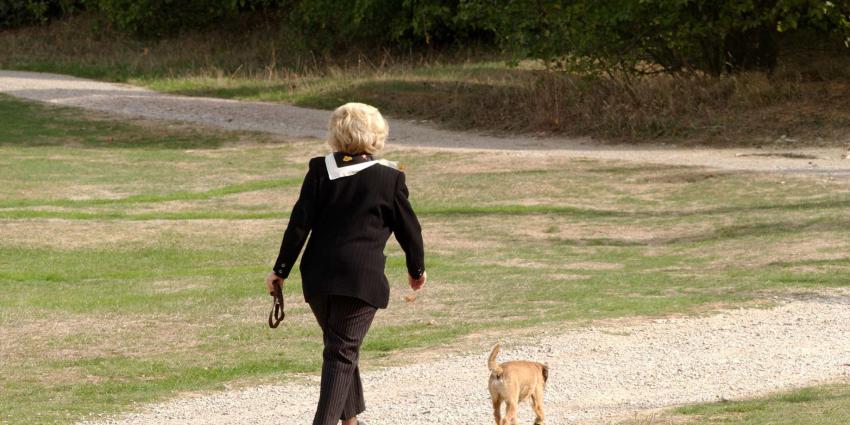 Prinses Beatrix 80