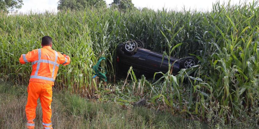 berger-auto-maisveld