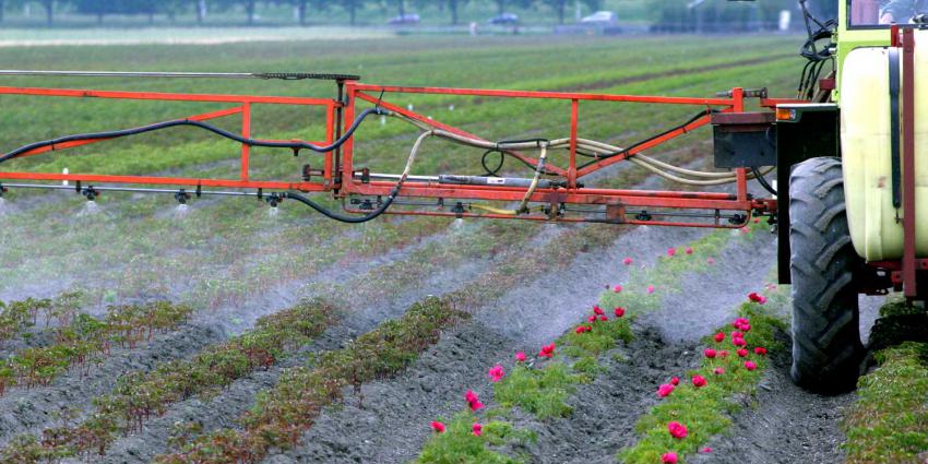 Foto van bespuiten land met bestrijdingsmiddelen | Archief EHF