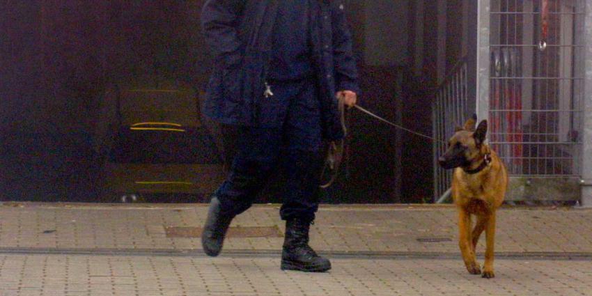 Hoofd Dienst Bewaken en Beveiligen (DBB) stapt op