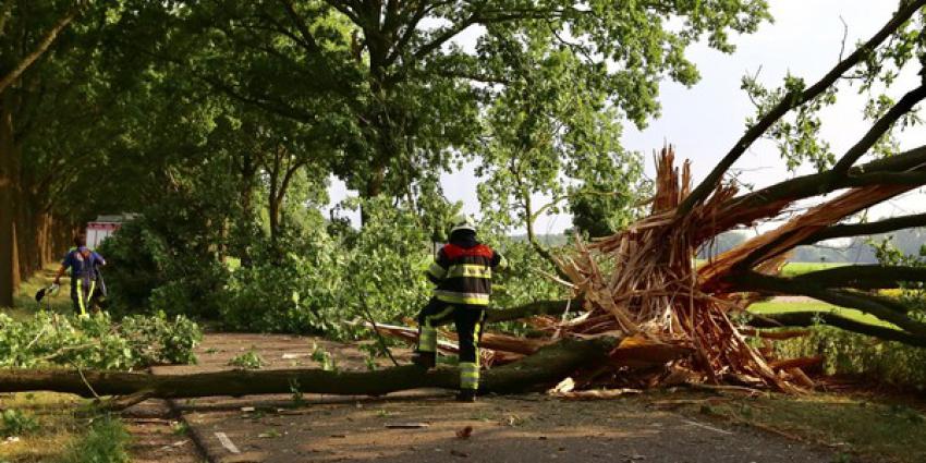 Pittige onweersbuien hebben gevolgen voor treinverkeer, woonboerderijen en bomen 