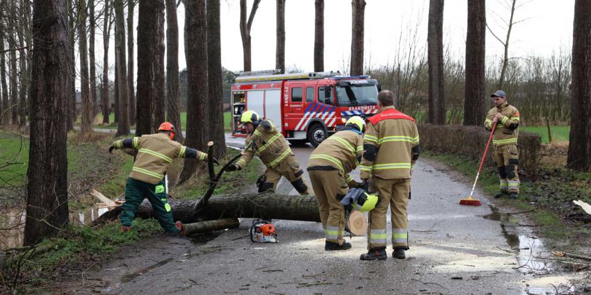 boom-afgebroken-storm-brandweer