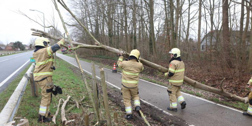 boom-wind-brandweer