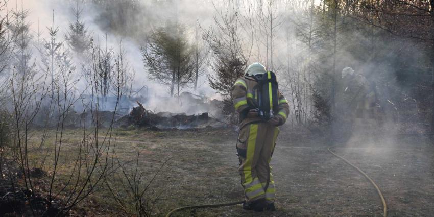 bosbrand-tegenlicht