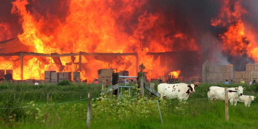 Foto van brand palletbedrijf Kampen | Hennie Joesten | www.protief.nl