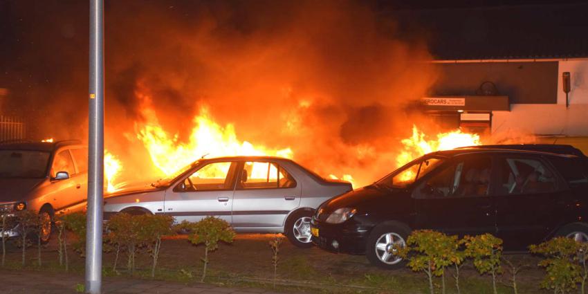 Zes auto's in vlammen op bij autobedrijf in Hoogeveen