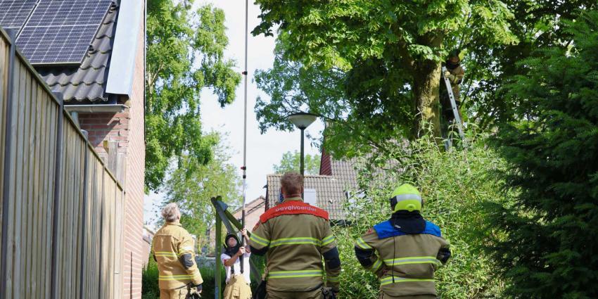 brandweer-kat-boom