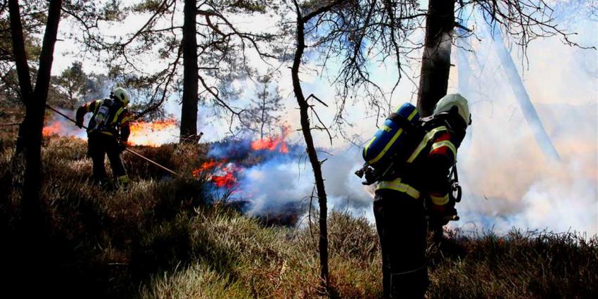 Natuurbranden Oost-Brabant en Terschelling door extreme droogte